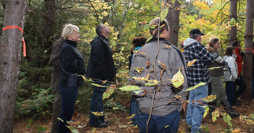 Cheryl Gallant Targets Lobbyists Who Axe Local Jobs 2011-Oct-1st-pictures-056
