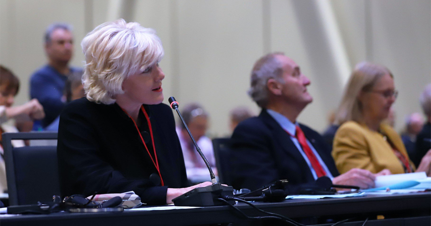 Report From Parliament MP Cheryl Gallant attends NATO PA Assembly 1200