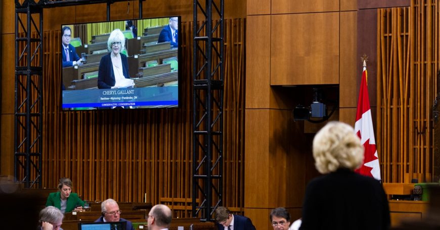 What is Bill Blair hiding? Cheryl Gallant in the House of Commons