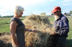 Cheryl-Gallant,-MP-with-local-farmer-Andy-Kluke-inspecting-the-damage-to-his-hay-crop-600