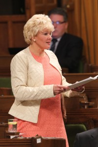 MP Gallant Addressing Parliament April 15th 2013
