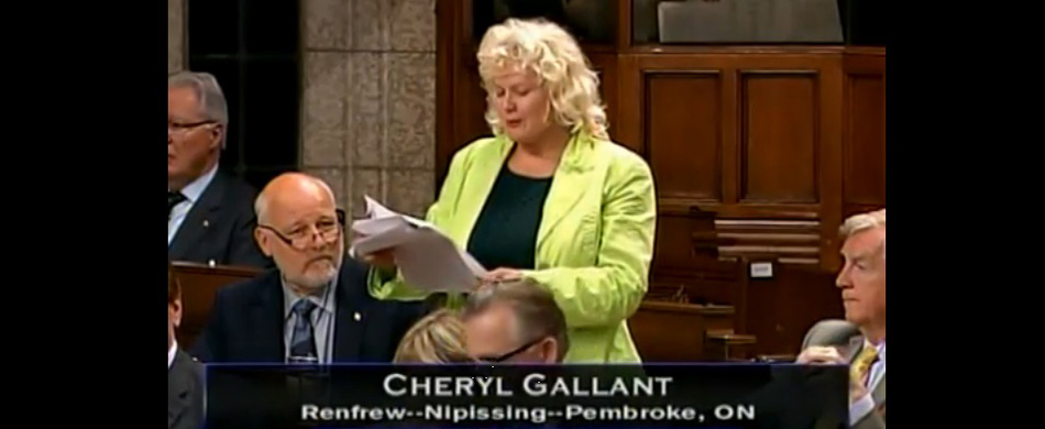Cheryl Gallant Supports Krista Johnston Memorial Run in House of Commons