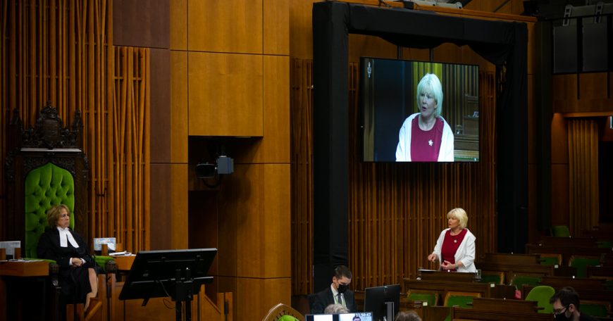 Give The Defence Minister A Dishonourable Discharge cheryl-gallant-qp
